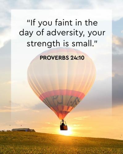 IMG_20211115_043458_739