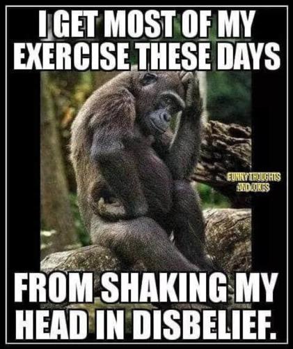 90eb7ff0a2b4f084440118b4f9b9e95e_500x0