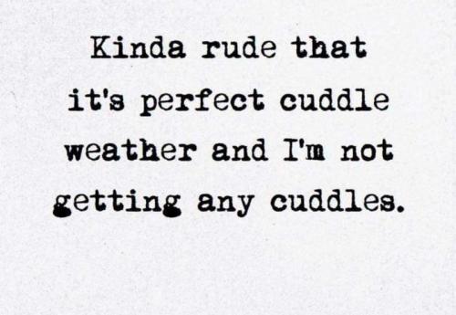 cuddles