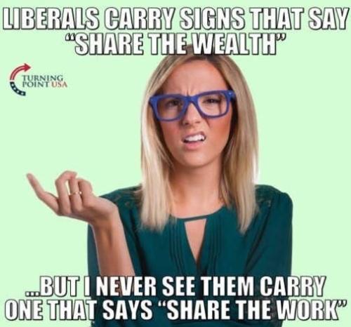 liberals-carry-signs-that-say-share-the-wealth-but-never-share-the-work