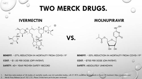 photo_2021-11-04_14-47-19