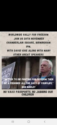 Screenshot_20211119-160833_Wimkin