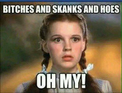 BITCHES SKANKS HOS