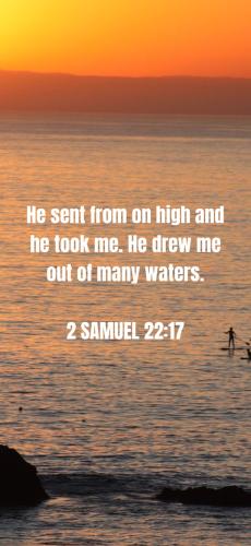 B954D24F-9752-4386-B94B-E710116B60B9