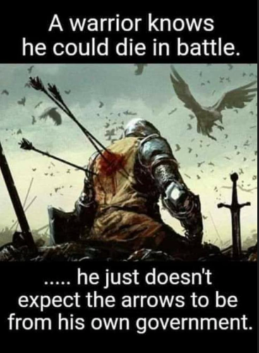 Capture+_2021-11-09-03-30-37(1)