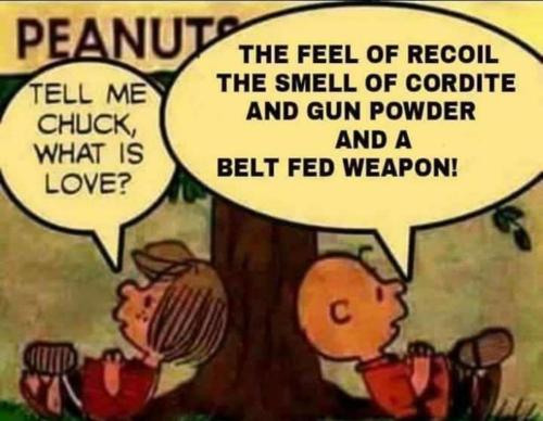 3cb4a09c415851efd3cc62f9046323a7_500