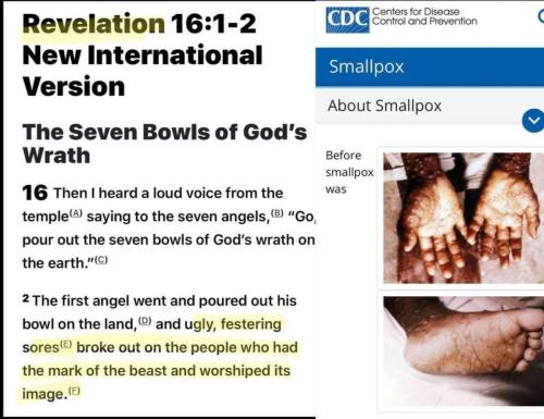 photo_2021-11-17_21-57-00