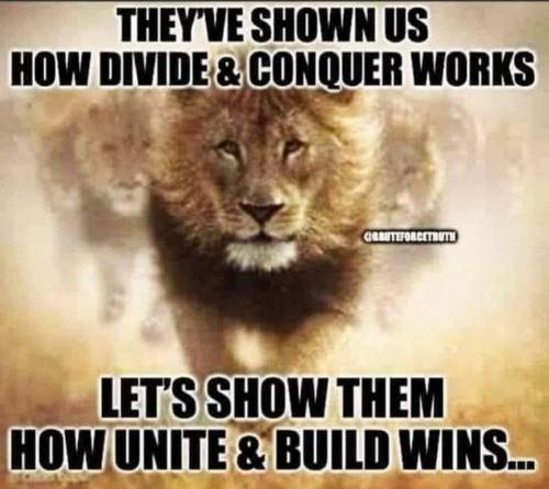 Unite and Build