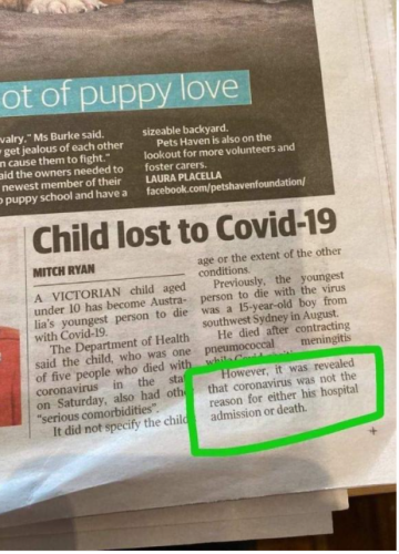 article of lies