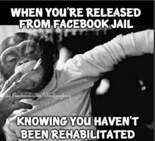 bidenfacebookparolelol