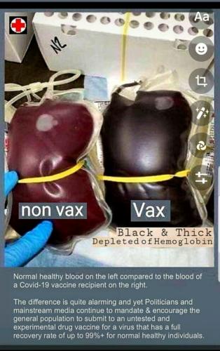 BLOOD  vax vs nonvax