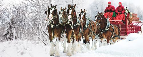 ChristmasBudweiserHorses