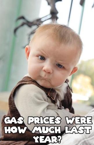 sceptical baby-742550
