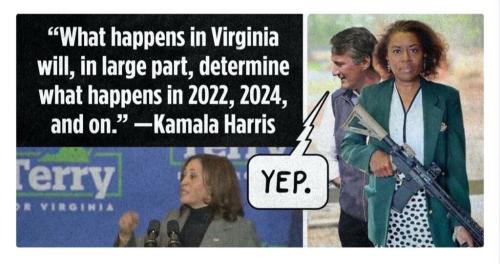 Virginia lt gov.