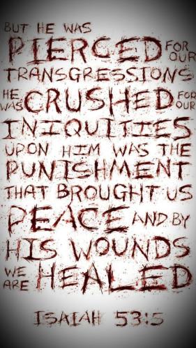 261083927_470161231120093_3787519956963424340_n