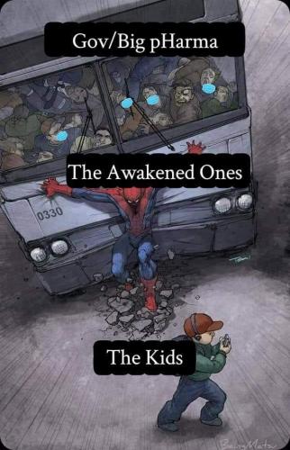 image_1638024005.494