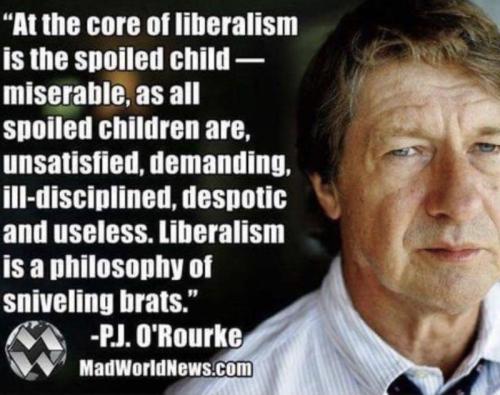 img - 2021-11-05T104359.591