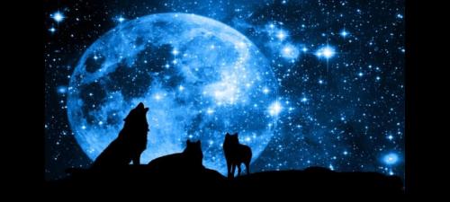 Screenshot_20211008-135410_YouTube