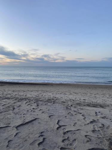 3B5B686D-154A-4B43-93B2-A690C41EA9FF