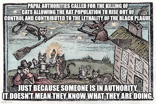 stupid-authority