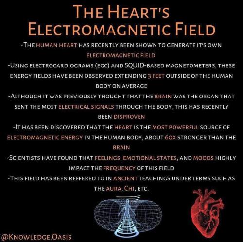 ElectromagneticHeart1