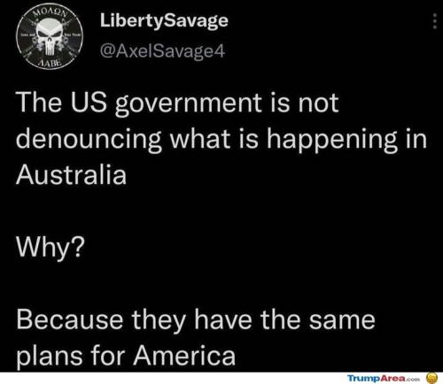 liberty savage 21389431290839507945