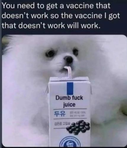 image_1635962867.206