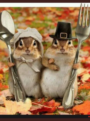 5AD824E7-A1F0-479D-BA60-82A0C4723635