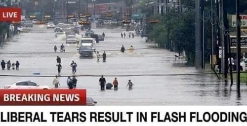 LIBERAL TEARS (2)