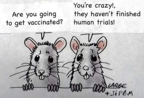 11f6d71e-5c0e-4779-a97e-79053b075d63