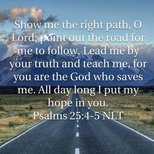 fed9a3c5-e99b-43af-a4af-e9c6c274e37c