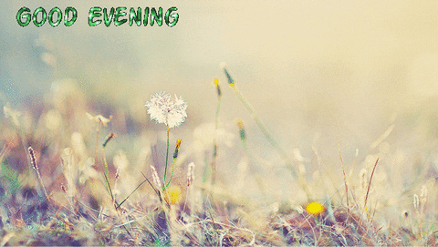 C4E8F7ED-1600-4F2E-8FC8-BD4F55411EEC