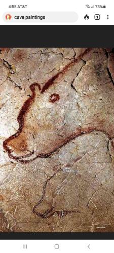 Screenshot_20211111-165519_DuckDuckGo