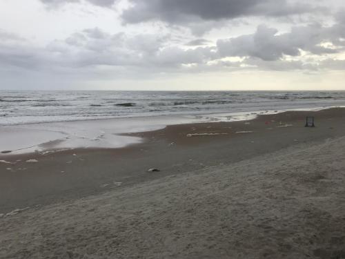 EB29A33A-C518-4A47-9FD7-64CE094D6D78