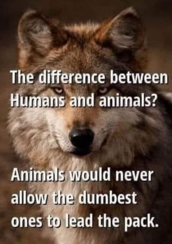 Capture+_2021-09-26-17-30-19(1)(1)(1)