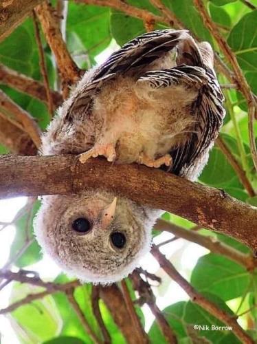 DBAE872A-ADAB-4DCB-8A4C-79A6E07BF667