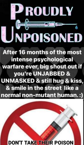 img - 2021-11-04T122500.804