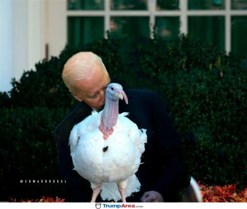 Biden Pardon Turkey