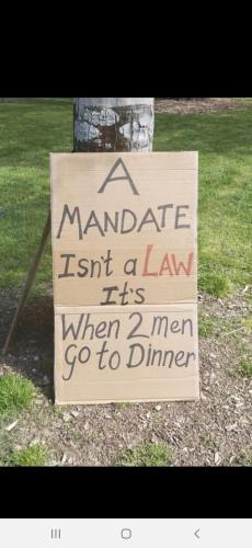 Screenshot_20211105-132637_Wimkin