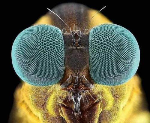 159902846_279000966929216_6721210128397792238_n