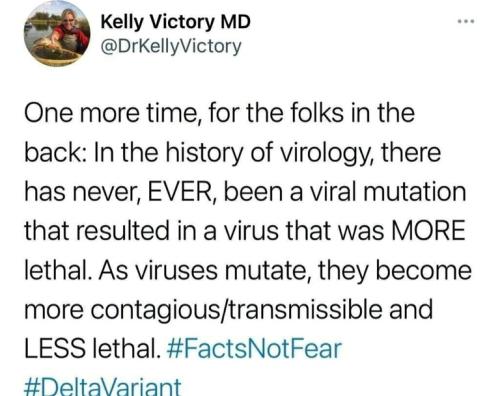 3de8960e9eeb45798a177a75e7c0564b_500x0