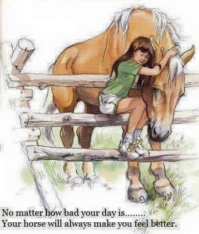 FB_IMG_1636673500544