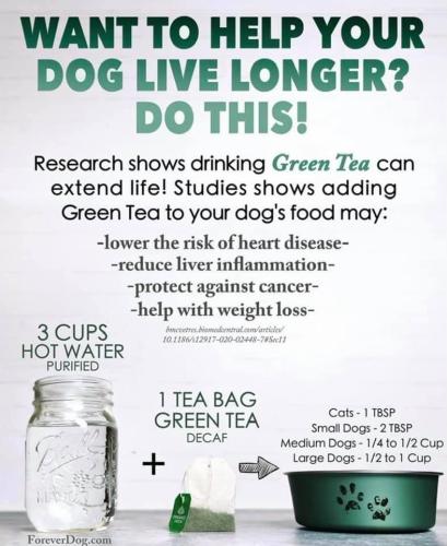 95C76300-5007-48E6-BD82-3896F1A7C89D