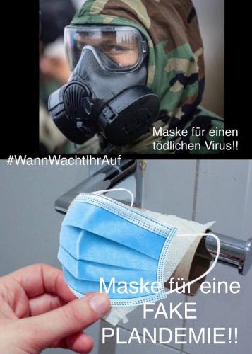 image_1635804469.088