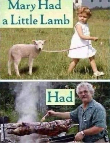 Mary had a little lamb - HAD