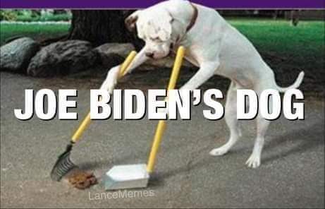 FB_IMG_1636308298752