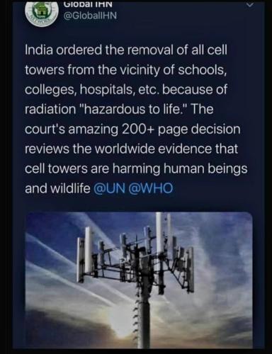 e55fa9f1-2602-4bea-bb4f-f5cc6d4dbc47