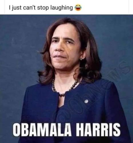 obama harris