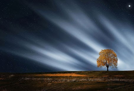 Take Care of Your own Garden