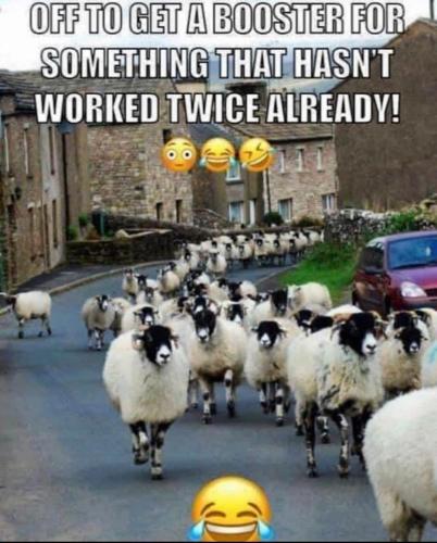 255658862_10222799784997352_5936441182111095133_n